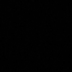 Meet your Posher, Gino